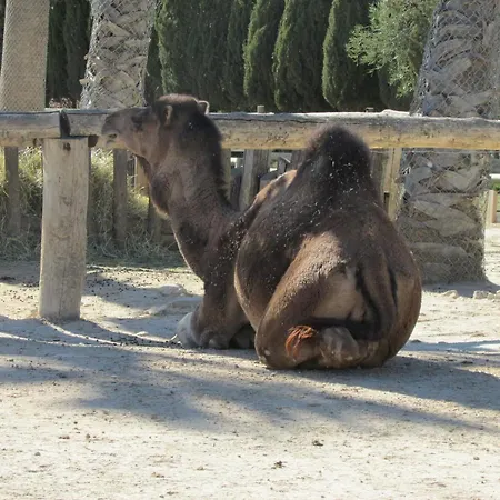 Doudou111 Sigean