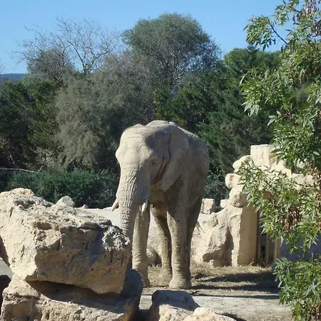 Doudou111 Sigean